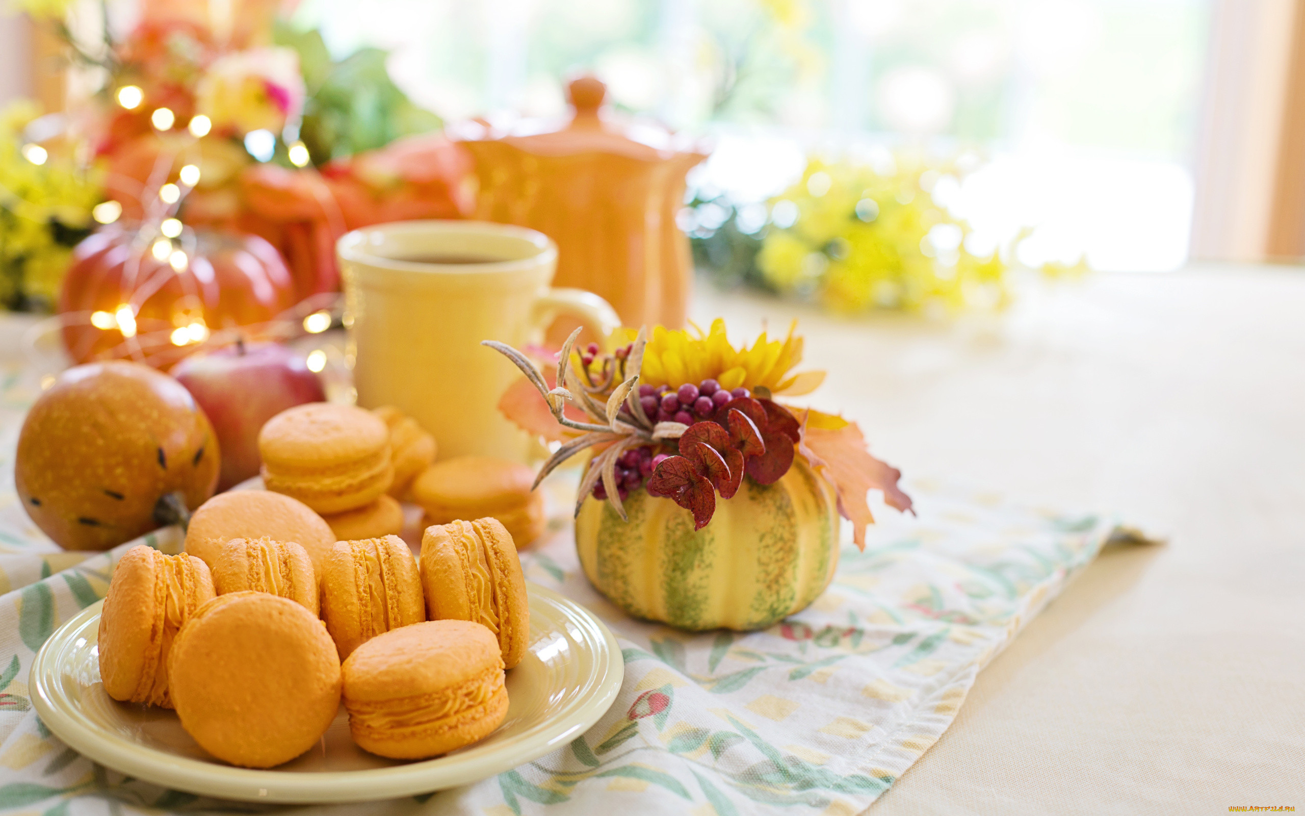 ���, ��������, ���������, ������������